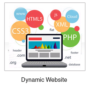 Dynamic Website